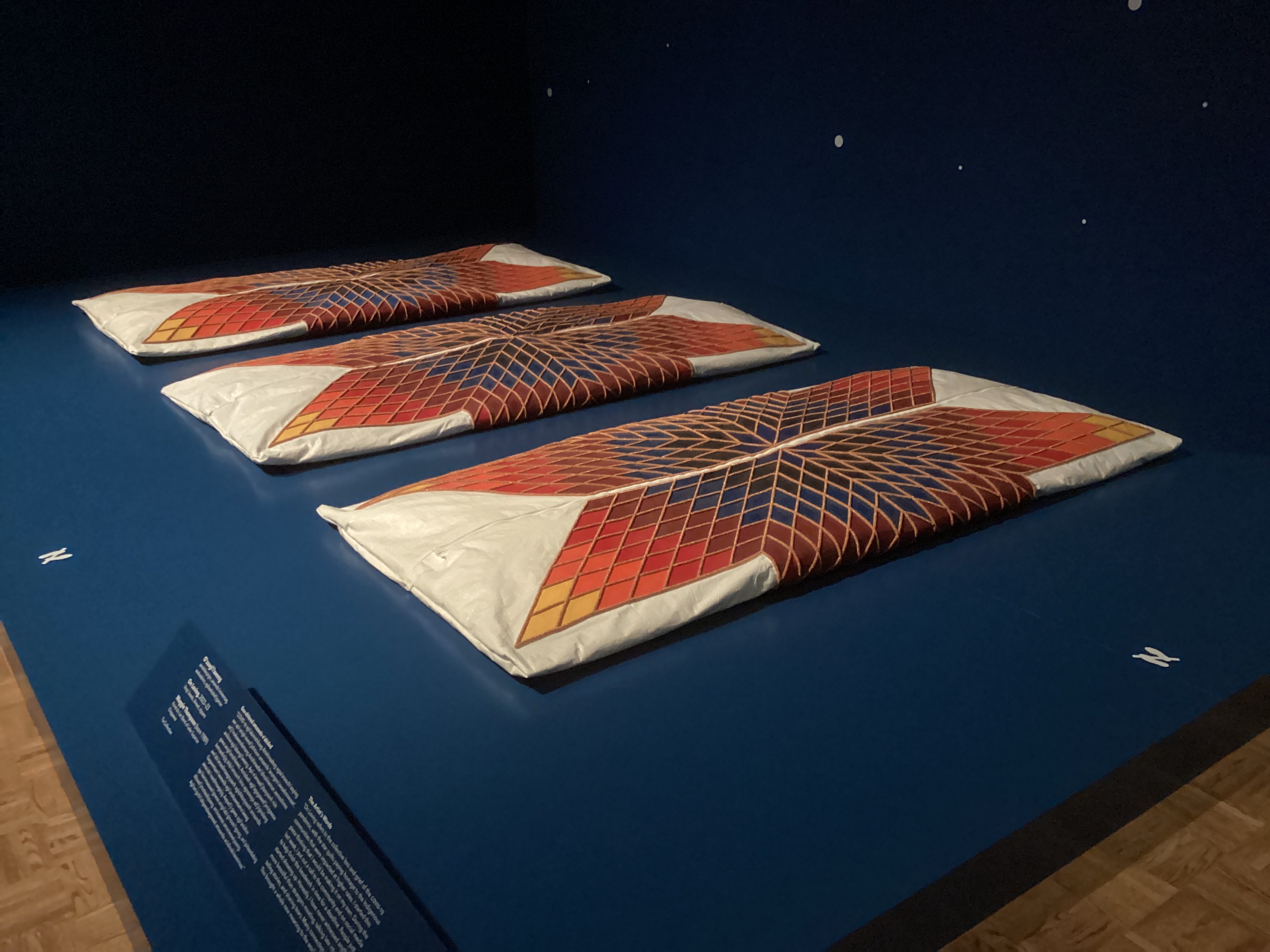 ContemporaryAnishinaabeArtDIA